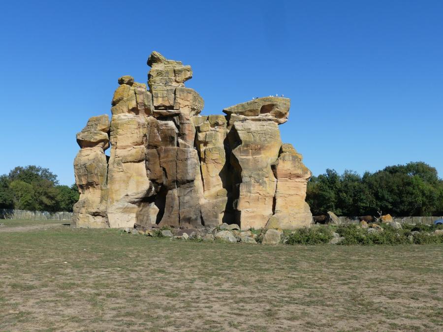 Safari amérique