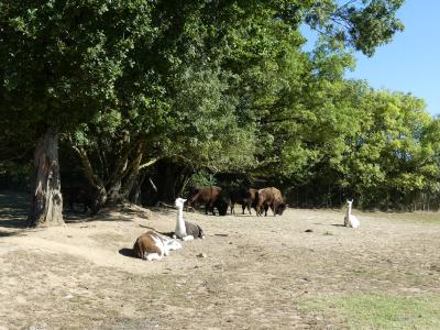 Piste Amérique - 2023