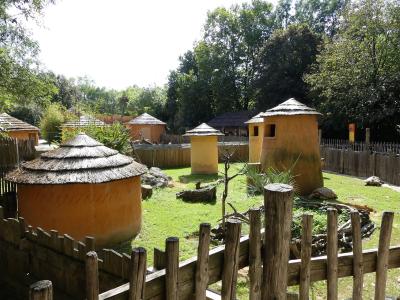 Chemin de la brousse - 2023