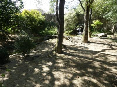 Loutre à pelage lisse - 2023