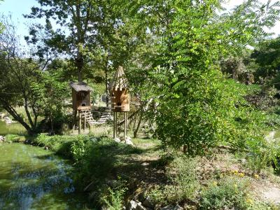 Tamarin bicolore - 2023