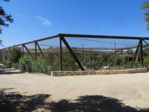 Grande volière africaine