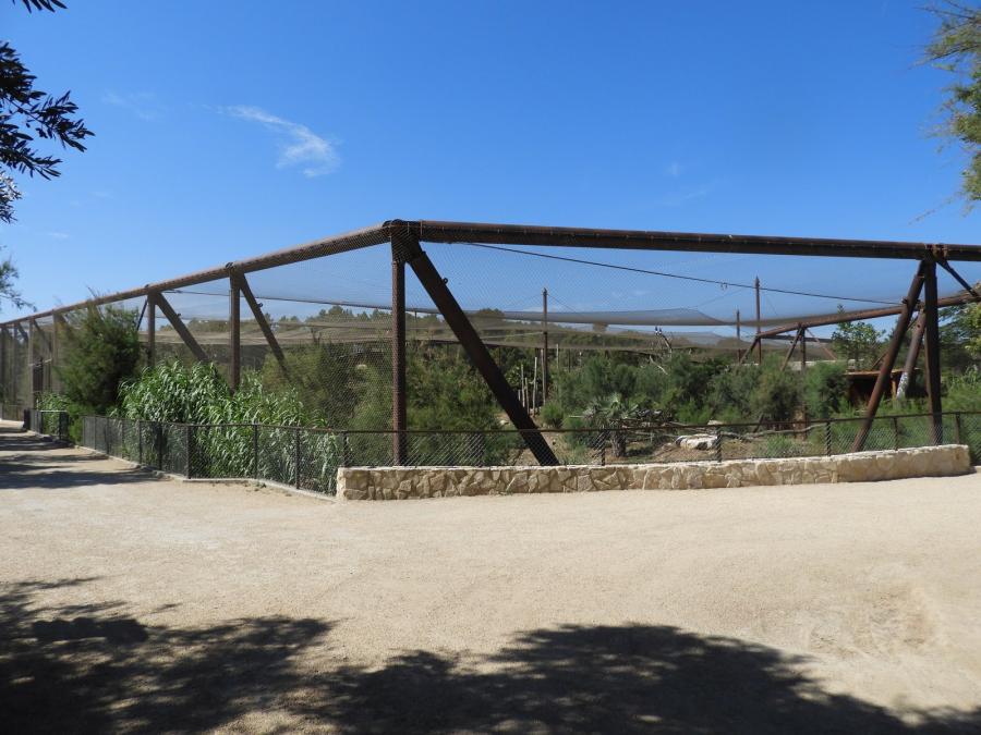 Grande volière africaine