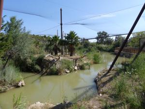 Grande volière africaine