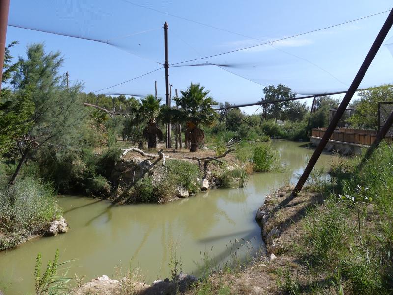 Grande volière africaine - 2019