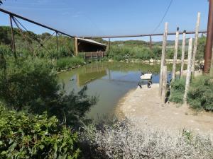 Grande volière africaine