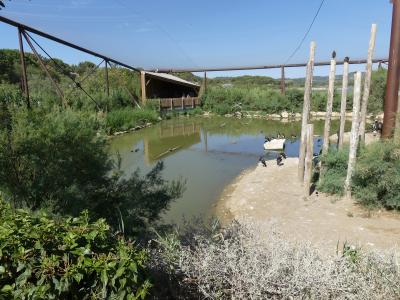 Grande volière africaine - 2019