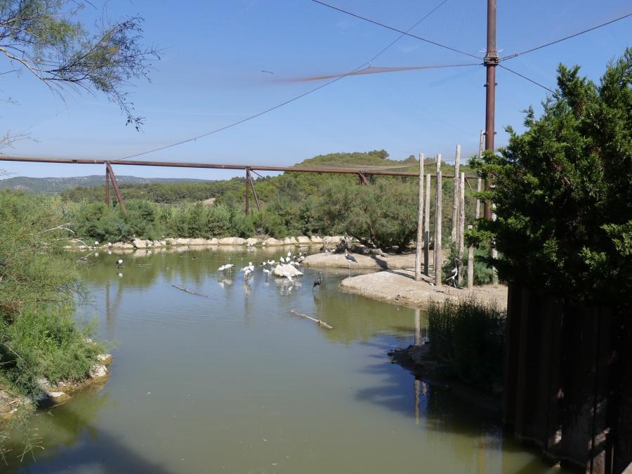 Grande volière africaine