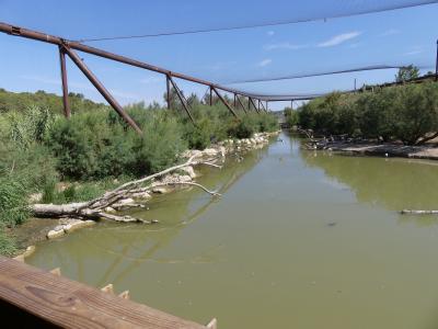 Grande volière africaine - 2019
