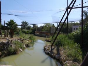 Grande volière africaine