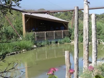 Grande volière africaine - 2019