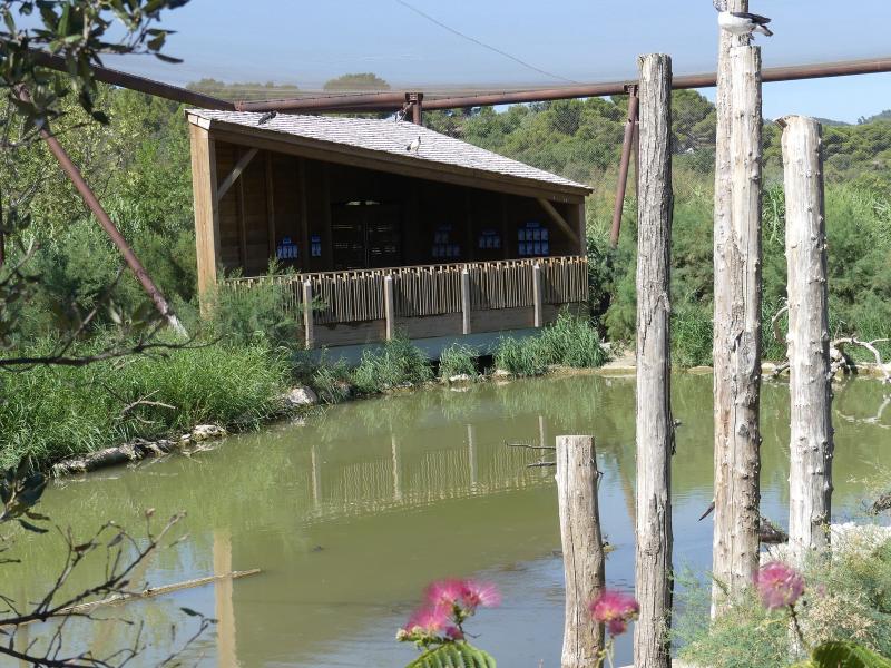 Grande volière africaine - 2019