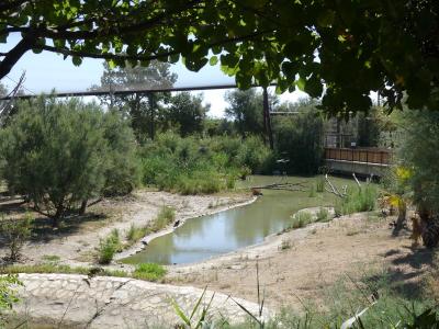 Grande volière africaine - 2019