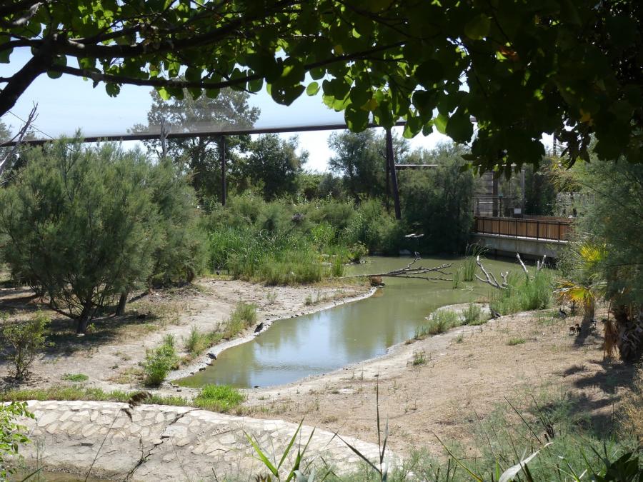 Grande volière africaine