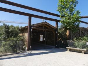 Grande volière africaine