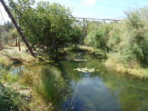 Grande volière africaine