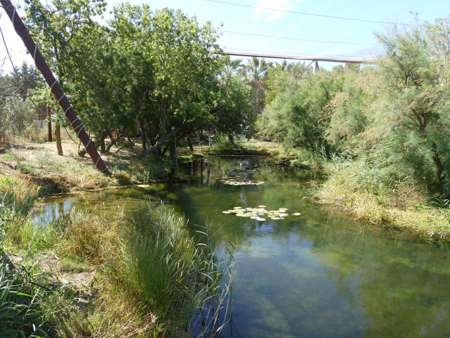 Grande volière africaine