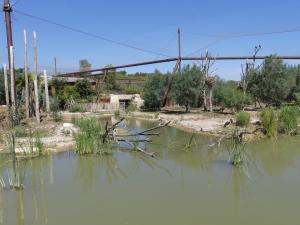 Grande volière africaine