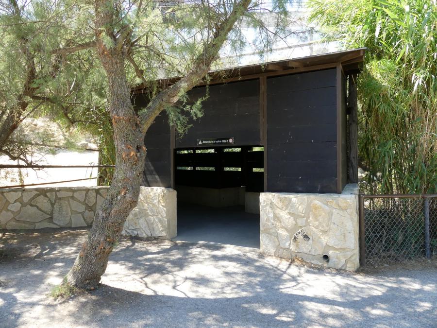 Spatule - Grue Demoiselle