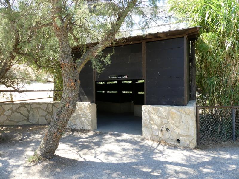 Spatule - Grue Demoiselle - 2019