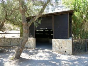 Spatule - Grue Demoiselle