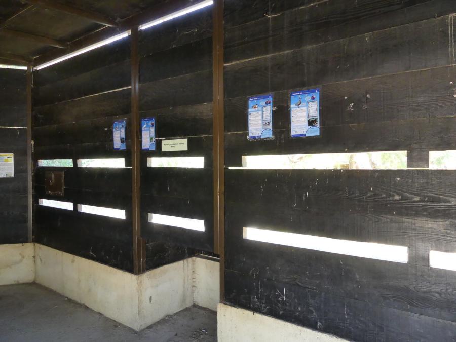 Spatule - Grue Demoiselle