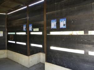 Spatule - Grue Demoiselle