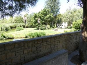 Saïmiri à tête noire