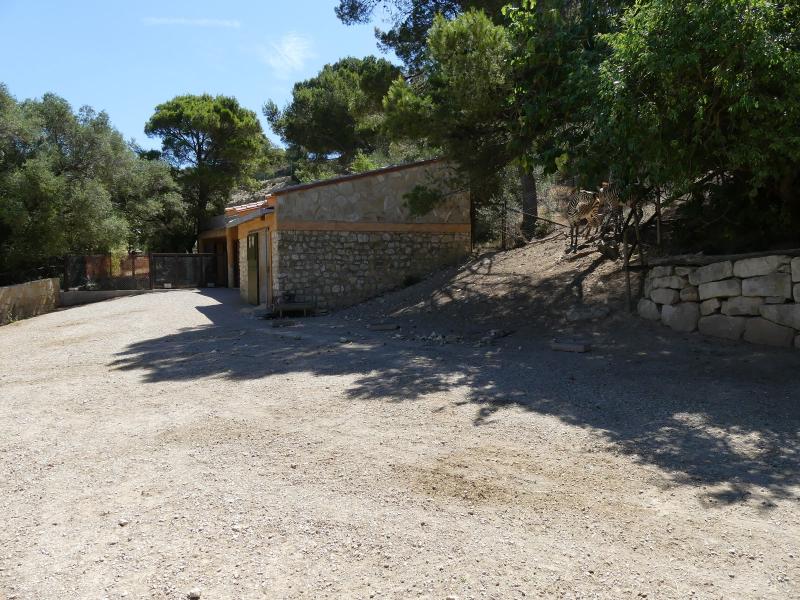 Zèbre de montagne - 2019