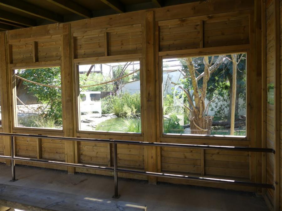 Alligator du Mississippi - Saïmiri à tête noire