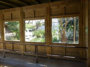 Alligator du Mississippi - Saïmiri à tête noire