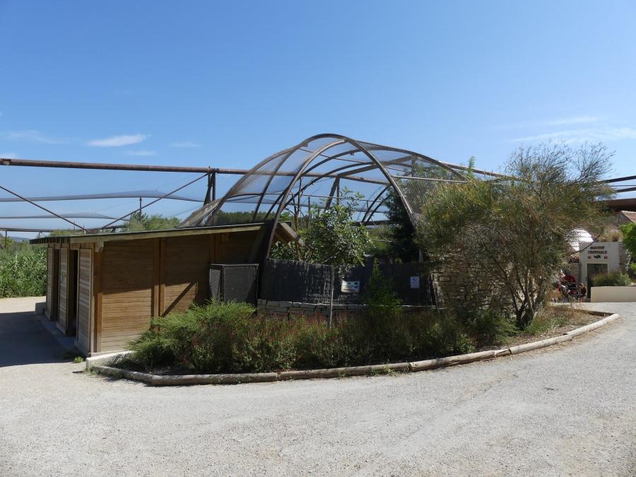 Alligator du Mississippi - Saïmiri à tête noire