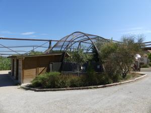 Alligator du Mississippi - Saïmiri à tête noire