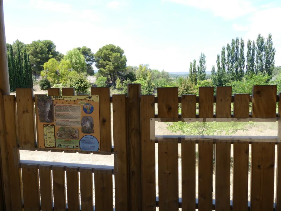 Territoire des guépards