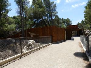 Territoire des carnivores