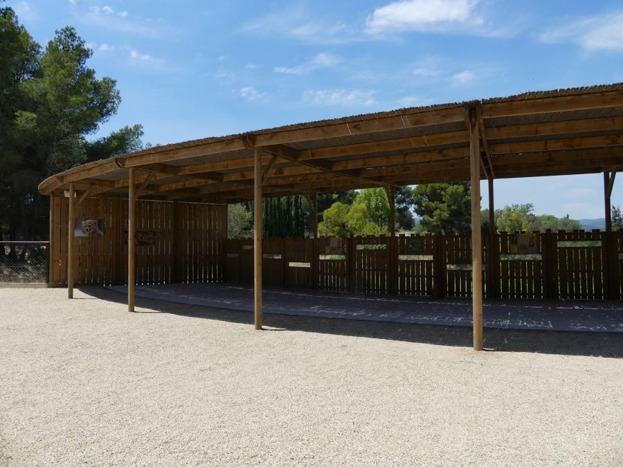 Territoire des guépards