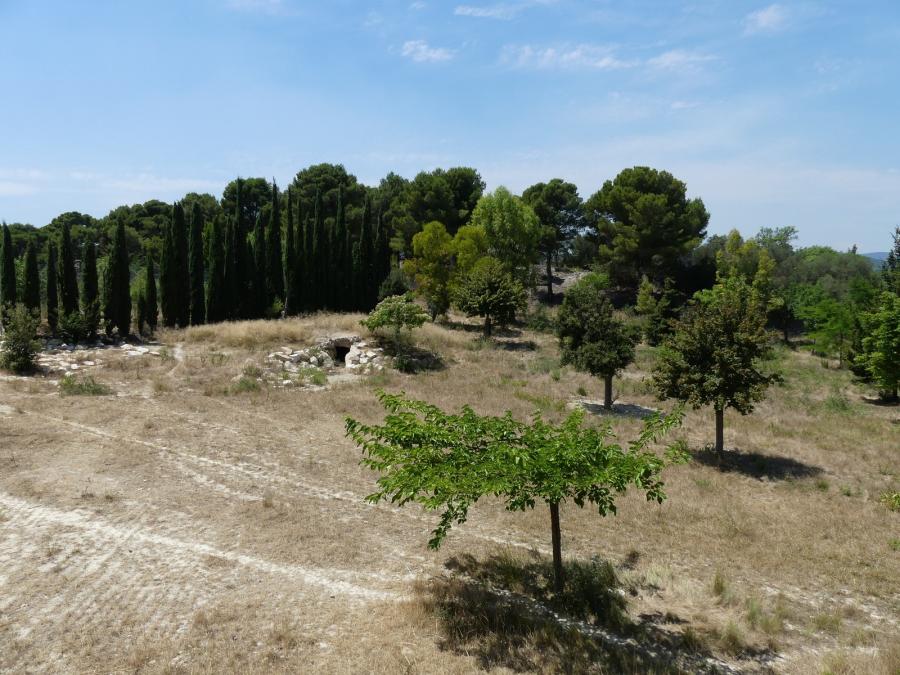Territoire des guépards