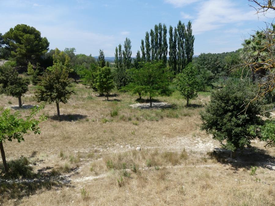 Territoire des guépards