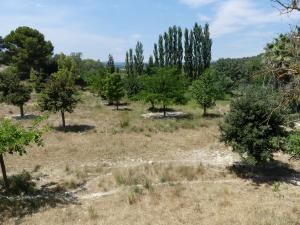 Territoire des guépards