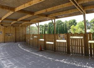 Territoire des guépards