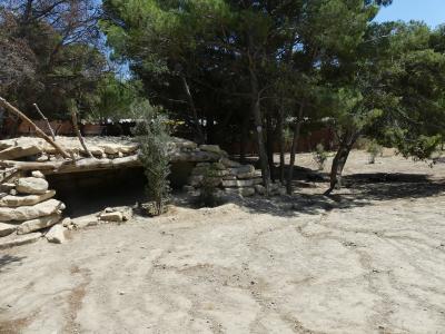 Territoire des lycaons - 2019