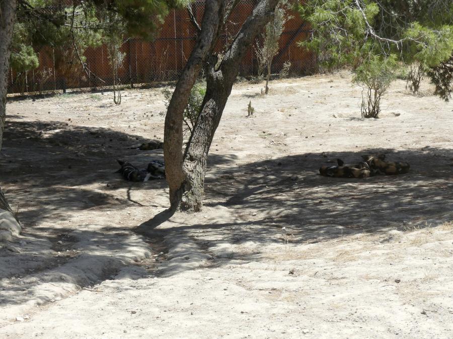 Territoire des lycaons