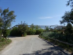 Grande volière africaine