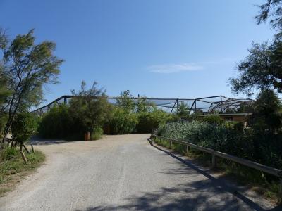 Grande volière africaine - 2019