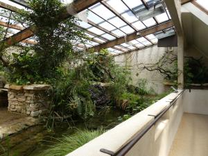 Alligator du Mississippi