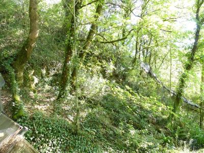 Vison d'Europe - 2019