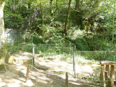 Vison d'Europe - 2019