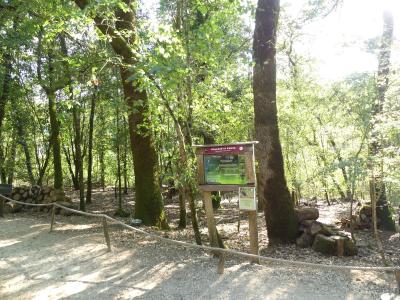 Wallaby de Parma - 2019