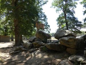 Tur du Caucase