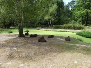 Capybara
